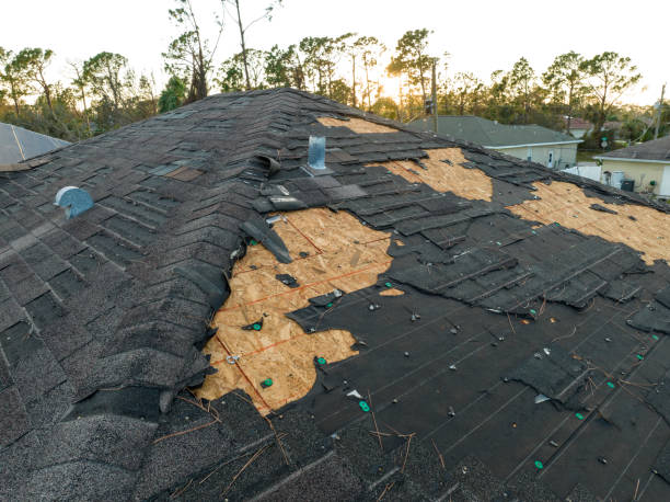 Best Roof Leak Repair  in USA